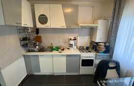 Apartament 3 camere, 57 mp, etaj intermediar, zona Muzeul Apei