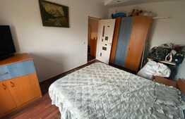 Apartament 3 camere, 57 mp, etaj intermediar, zona Muzeul Apei