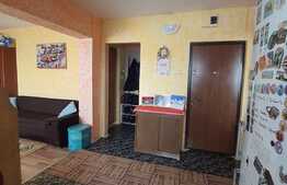 De vanzare apartament cu 2 camere, 44 mp, etaj intermediar, zona strazii Fabricii