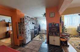 De vanzare apartament cu 2 camere, 44 mp, etaj intermediar, zona strazii Fabricii