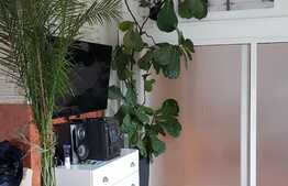 Penthouse ultracentral,165 mp, 200 mp teren, zona strazii Motilor