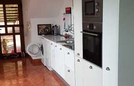 Penthouse ultracentral,165 mp, 200 mp teren, zona strazii Motilor