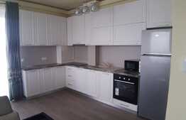 Apartament SUPERB la prima inchiriere, cu 3 camere, 74 mp, terasa 76 mp, zona BMW