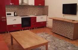Apartament cu 2 camere, 55 mp, pet friendly, loc de parcare, zona strazii Horea 