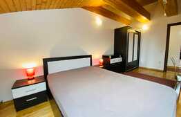 3 dormitoare decomandate,2 bai, 1 terasa, 120 mp, zona Centrala