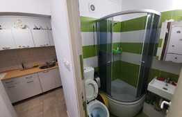 Garsoniera 22 mp, situata in zona Rulmentul