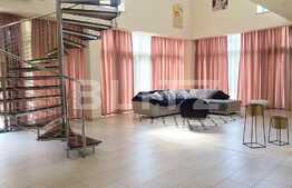 Duplex 180mp, 4 bai, terasa 140mp,  gradina, garaj, pet friendly, zona strazii Clinicilor 