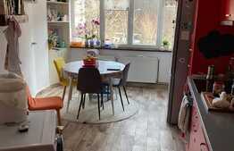 Apartament 2 camere, 60 mp, decomandat, Racadau 