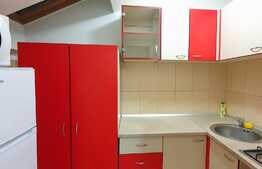 Apartament cu o camera, LA CHEIE, zona strazii Bucuresti