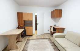 Apartament cu o camera, LA CHEIE, zona strazii Bucuresti