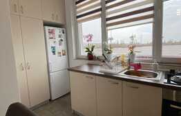 Apartament 2 camere, decomandat, zona strazii Luncii! 