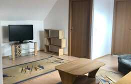 Apartament 2 camere modern, 52 mp,  Zona Muzeul Apei!