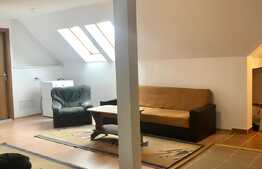 Apartament 2 camere modern, 52 mp,  Zona Muzeul Apei!