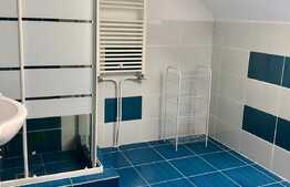 Apartament 2 camere modern, 52 mp,  Zona Muzeul Apei!