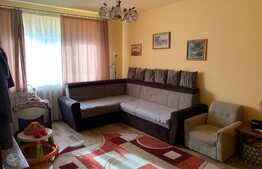  Casa individuala, 248 mp, 597 mp teren, zona Piata Engels