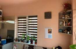  Casa individuala, 248 mp, 597 mp teren, zona Piata Engels