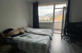 Apartament 1 camera, 40 mp, parcare, zona strazii Subcetate! 