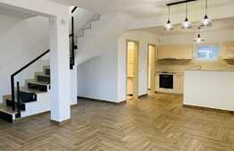 Duplex 100 mp, garaj, gradina 100 mp, zona strazii Eugen Ionesco
