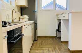 Duplex 100 mp, garaj, gradina 100 mp, zona strazii Eugen Ionesco