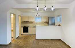 Duplex 100 mp, garaj, gradina 100 mp, zona strazii Eugen Ionesco