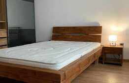 Apartament 2 camere, lux, garaj, terasa, prima inchiriere, zona strazii Salcamului 