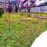 Casa de închiriat 7 camere Grigorescu - 60924CI - Poza 1 din 20 | BLITZ Cluj-Napoca | Poza18