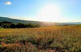 Teren intravilan 800mp,cu PUZ in lucru in cartierul Borhanci