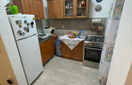 Investitie! Apartament cu 2 camere in vila, 56 mp, boxa si parcare, Grigorescu