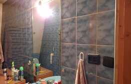 De vanzare casa tip duplex, renovabila,120 mp utili, 245 mp teren, zona linistita