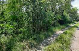 Teren intravilan 2899mp,situat in cartierul Dambu Rotund 