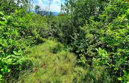 Teren intravilan 2899mp,situat in cartierul Dambu Rotund 