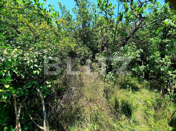 Teren de vânzare Dambul Rotund - 60967TV | BLITZ Cluj-Napoca | Poza3