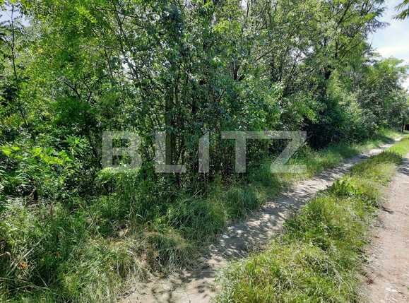 Teren de vânzare Dambul Rotund - 60967TV | BLITZ Cluj-Napoca | Poza2