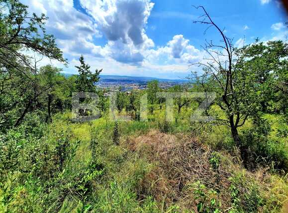 Teren de vânzare Dambul Rotund - 60967TV | BLITZ Cluj-Napoca | Poza1