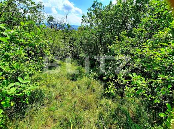 Teren de vânzare Dambul Rotund - 60967TV | BLITZ Cluj-Napoca | Poza4