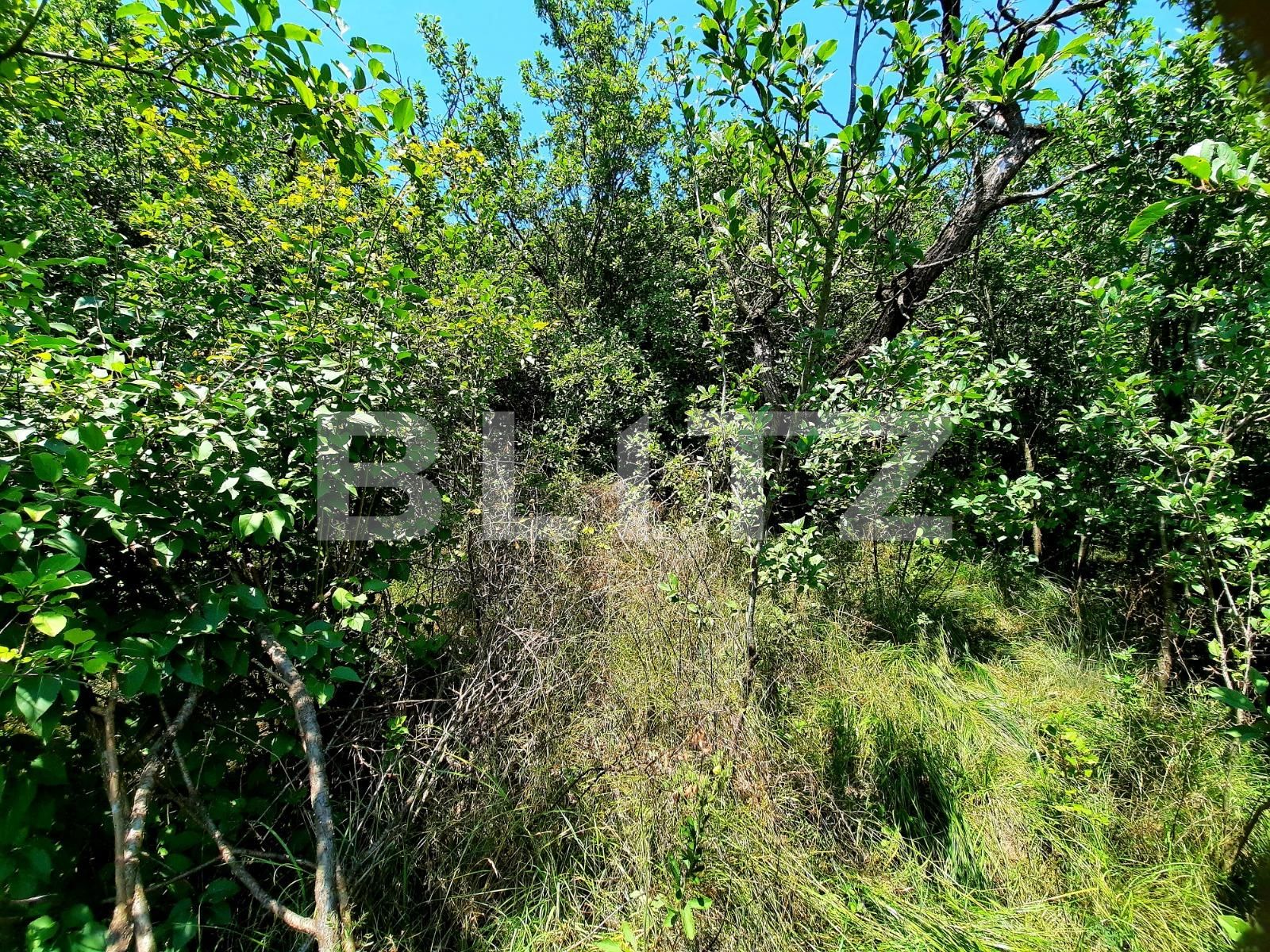 Teren de vânzare Dambul Rotund - 60967TV | BLITZ Cluj-Napoca | Poza3