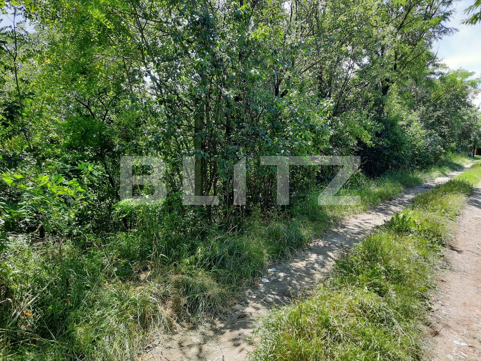 Teren de vânzare Dambul Rotund - 60967TV | BLITZ Cluj-Napoca | Poza2