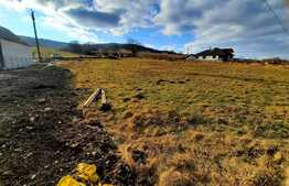 Teren intravilan 2620mp ,in Popesti