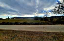 Teren intravilan 2620mp ,in Popesti