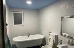 Oportunitate ! Casa individuala finisata, 290 mp utili ,2700 mp teren, front 18ml, Filea de Jos