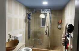 Oportunitate ! Casa individuala finisata, 290 mp utili ,2700 mp teren, front 18ml, Filea de Jos