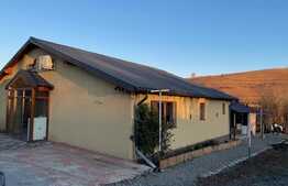 Oportunitate ! Casa individuala finisata, 290 mp utili ,2700 mp teren, front 18ml, Filea de Jos