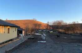 Oportunitate ! Casa individuala finisata, 290 mp utili ,2700 mp teren, front 18ml, Filea de Jos