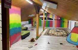 Oportunitate ! Casa individuala finisata, 290 mp utili ,2700 mp teren, front 18ml, Filea de Jos