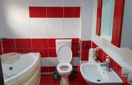 Apartament 2 camere, 55mp, parcare! Zona strazii Tineretului!