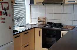 Apartament 2 camere, 55mp, parcare! Zona strazii Tineretului!