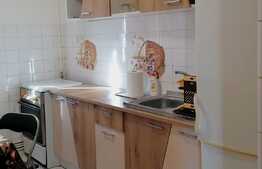 Apartament 2 camere, decomandat, mobilat și utilat, parcare, zona Emil Racoviță