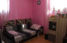Apartament cochet, cu o camera, zona Clujana
