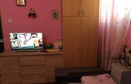 Apartament cochet, cu o camera, zona Clujana