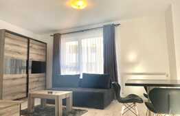 Apartament 2 camere, mobilat modern,50mp, complex nou, zona strazii Burebista